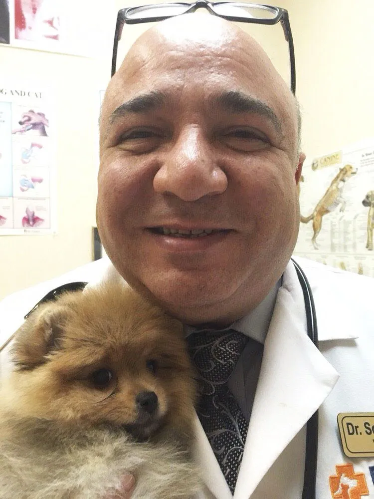Dr. Hany Soliman