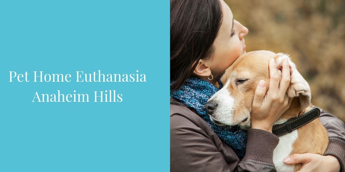 Pet-Home-Euthanasia-Anaheim-Hills