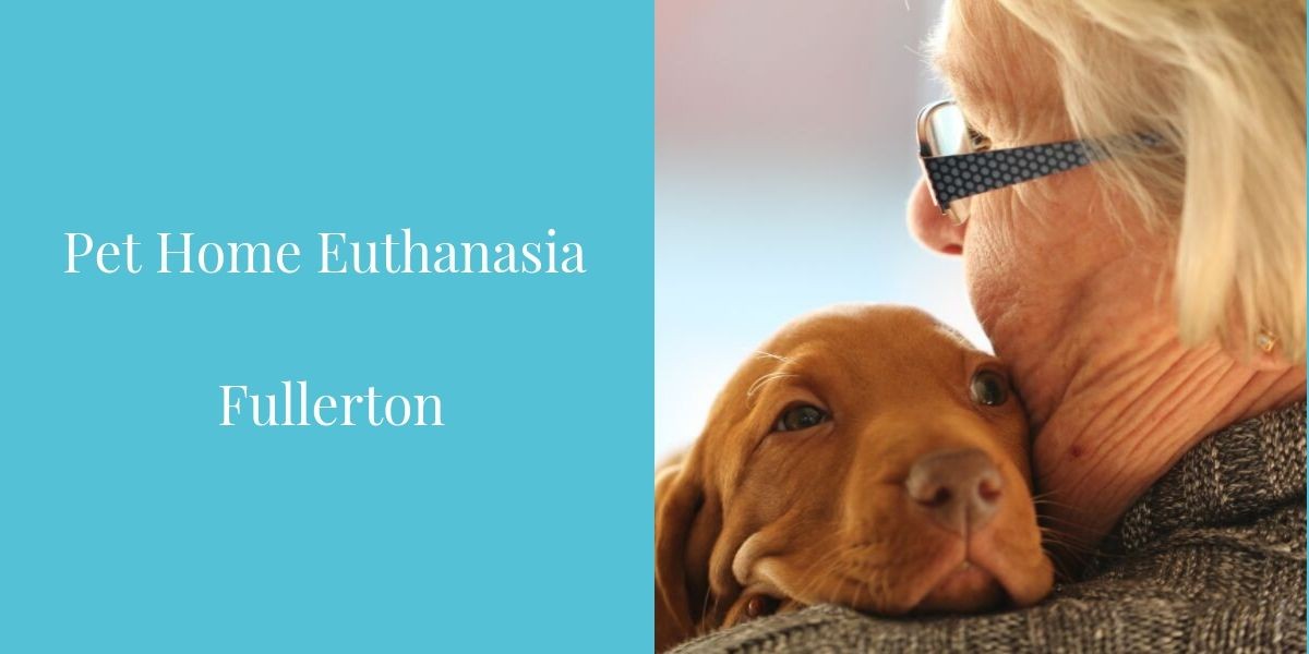 Pet_Home_Euthanasia_Fullerton