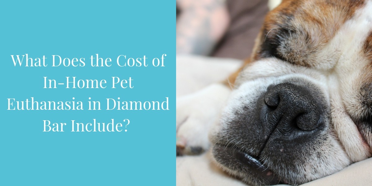 What-Does-the-Cost-of-In-Home-Pet-Euthanasia-in-Diamond-Bar-Include_