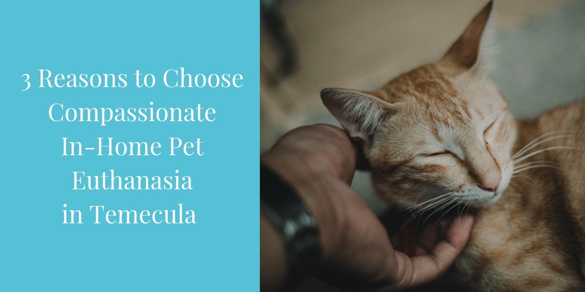 3-Reasons-to-Choose-Compassionate-In-Home-Pet-Euthanasia-in-Temecula