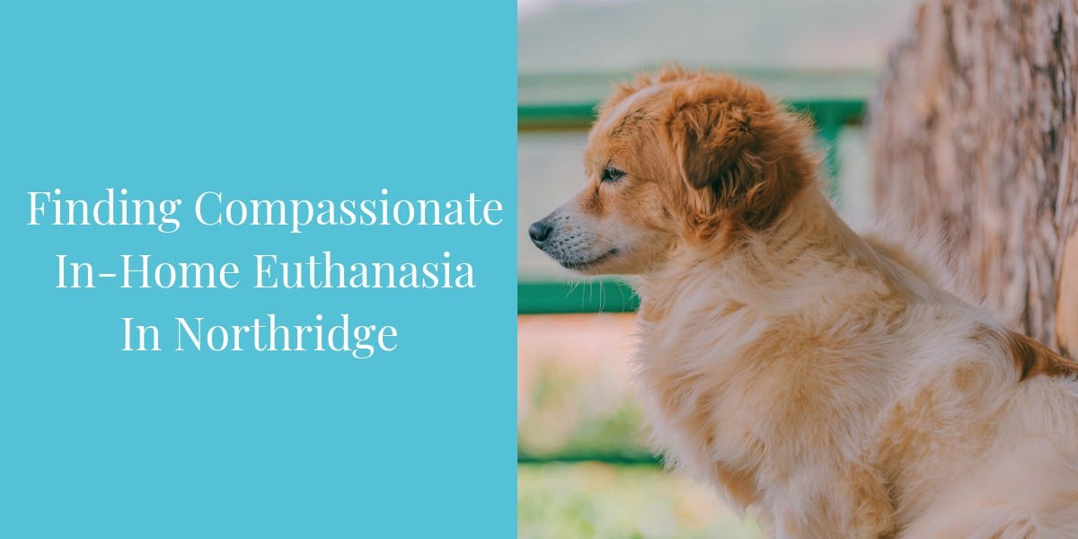 Finding-Compassionate-In-Home-Euthanasia-in-Northridge